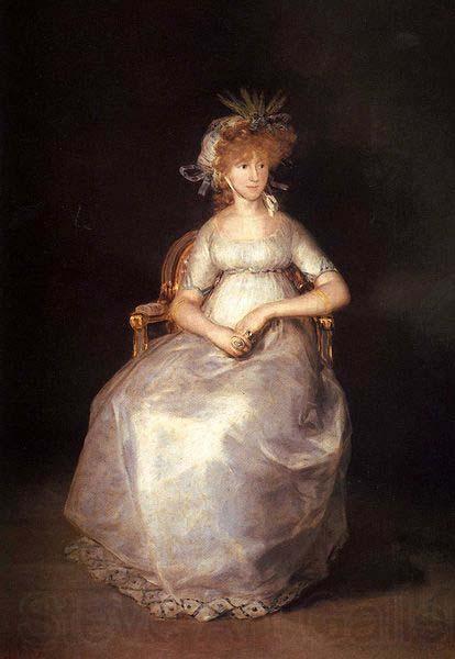 Francisco de Goya Portrait of the Maria Teresa de Borbon y Vallabriga, 15th Countess of Chinchon Germany oil painting art